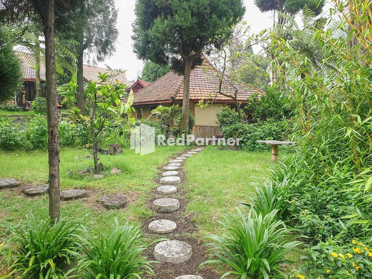 Hotel Yoschi'S Bromo At Desa Wisata Bromo Ngadisari Εξωτερικό φωτογραφία